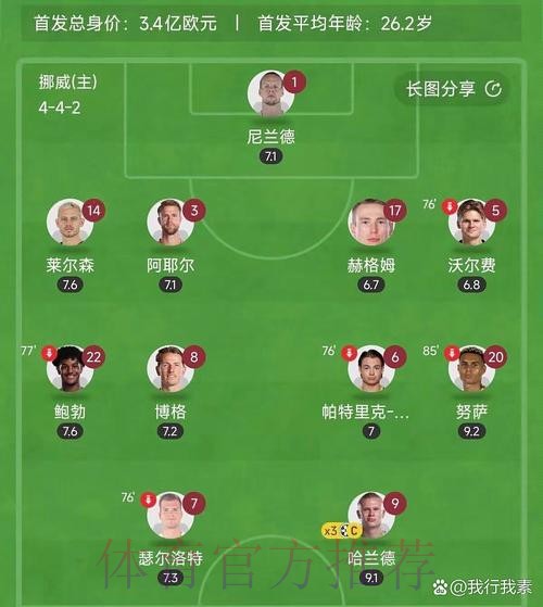 最新世界杯比利时哈兰德阵容解析深度解读 最新世界杯比利时哈兰德阵容解析深度解读